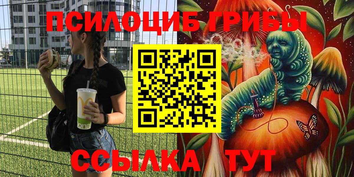 Галлюциногенные грибы Psilocybe  Вход с VPN  Кимовск  Псилоцибиновые грибы Cubensis 